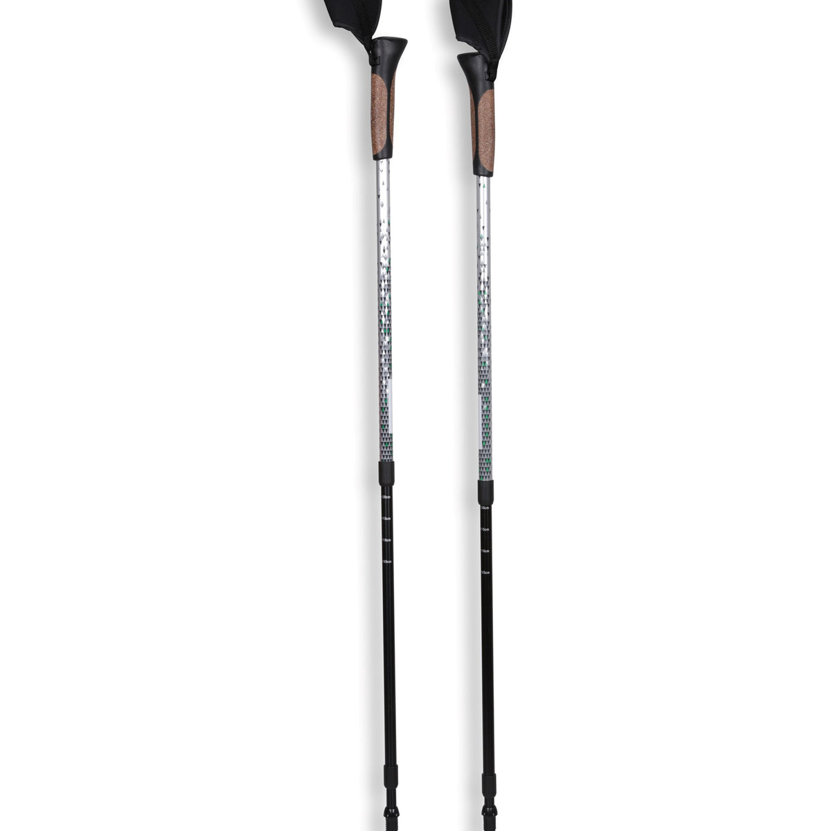EMS Nordic Walking Pole