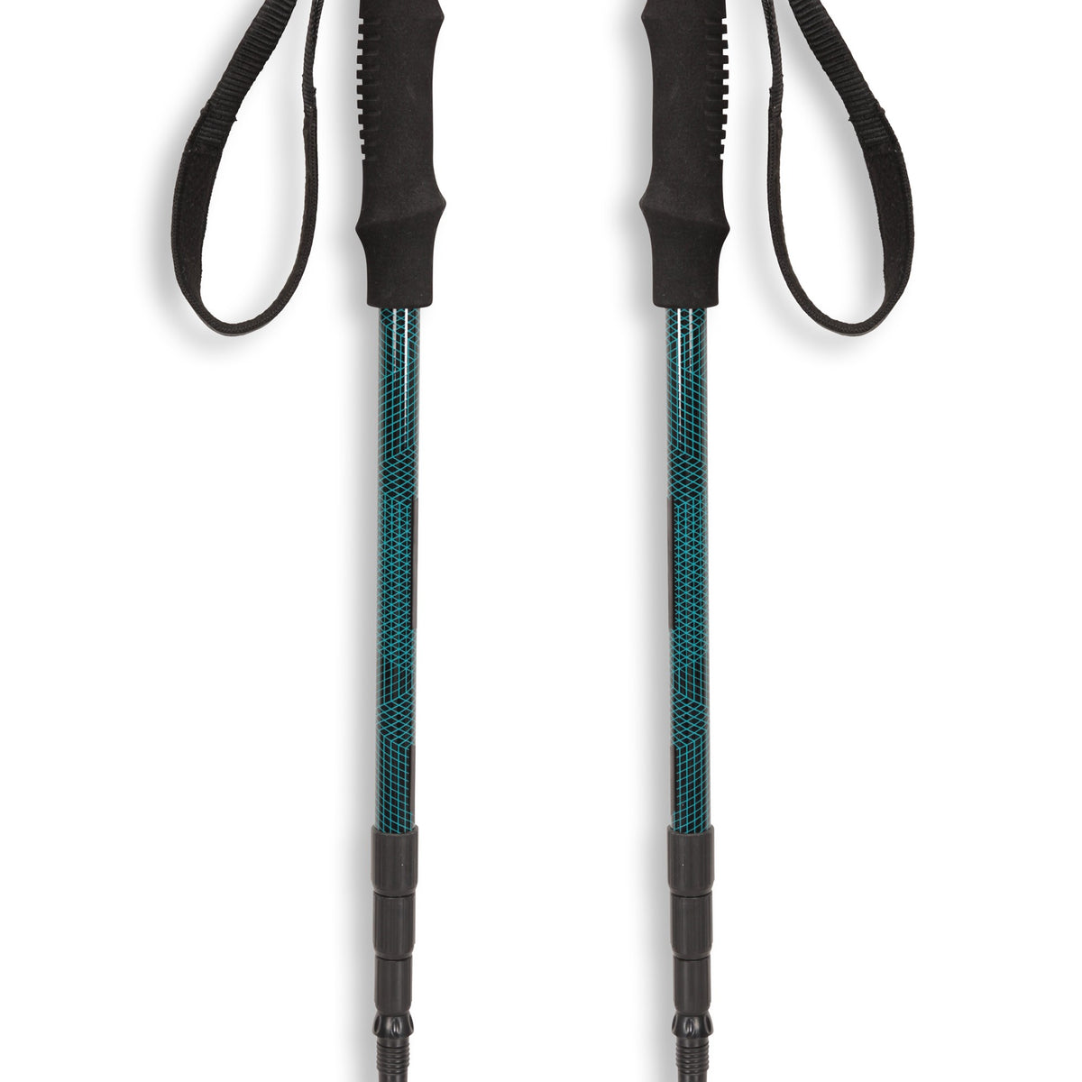 EMS Compact Walking Pole 2-Pack