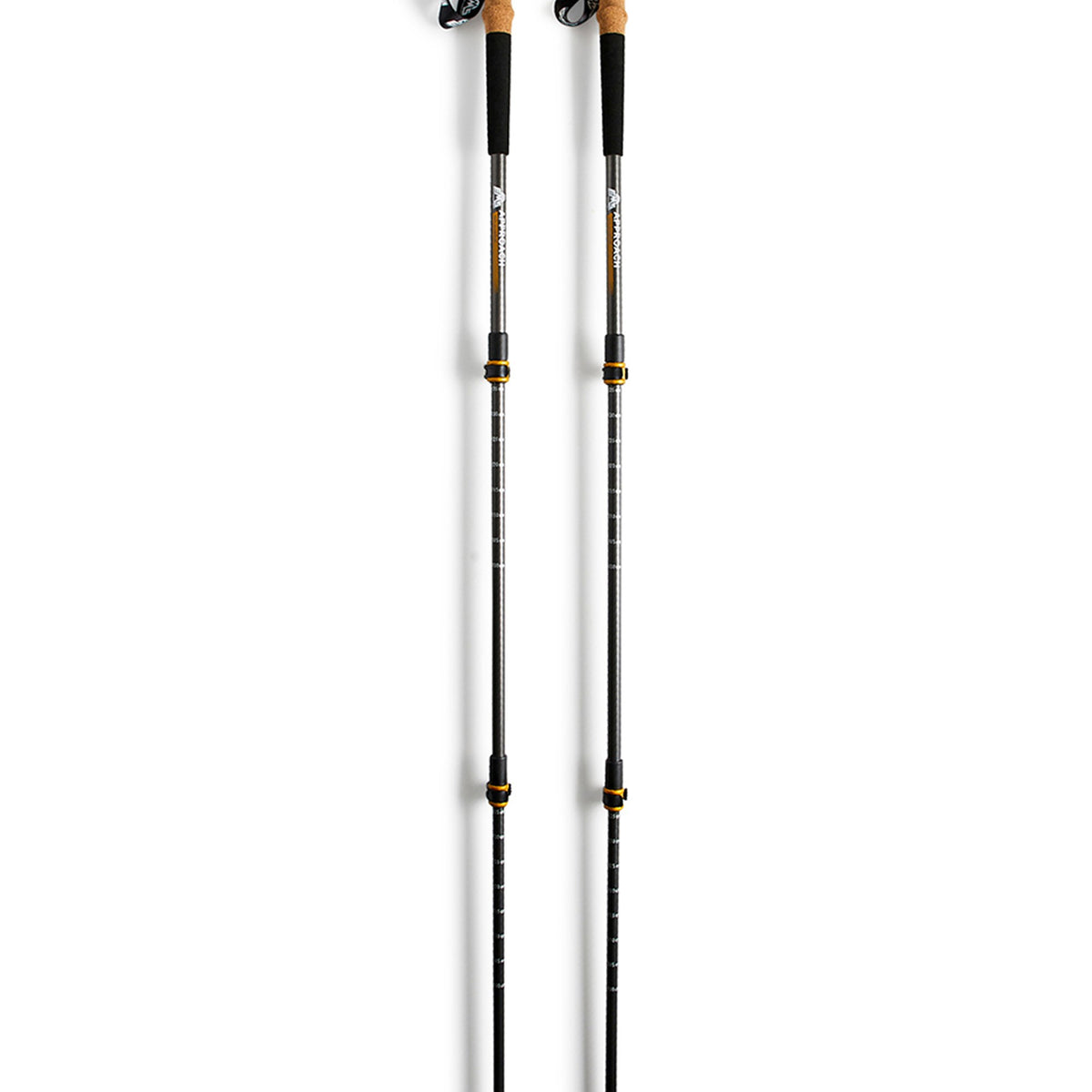 EMS Appoach Trekking Pole